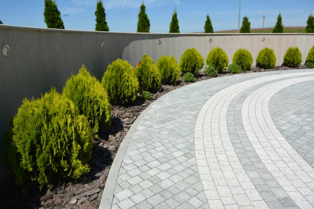 Reasons to Select Us for Your Driveway Paving Requirements in Elim, PA